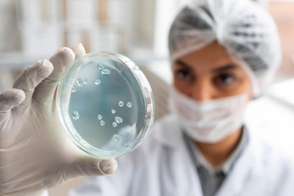 [Maternidade tardia impulsiona técnicas de preservação da fertilidade no Brasil! ]