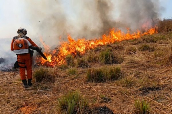 [141 bombeiros militares combatem incêndios nas regiões Oeste, Norte, Chapada, Meio-Oeste e Sudoeste ]